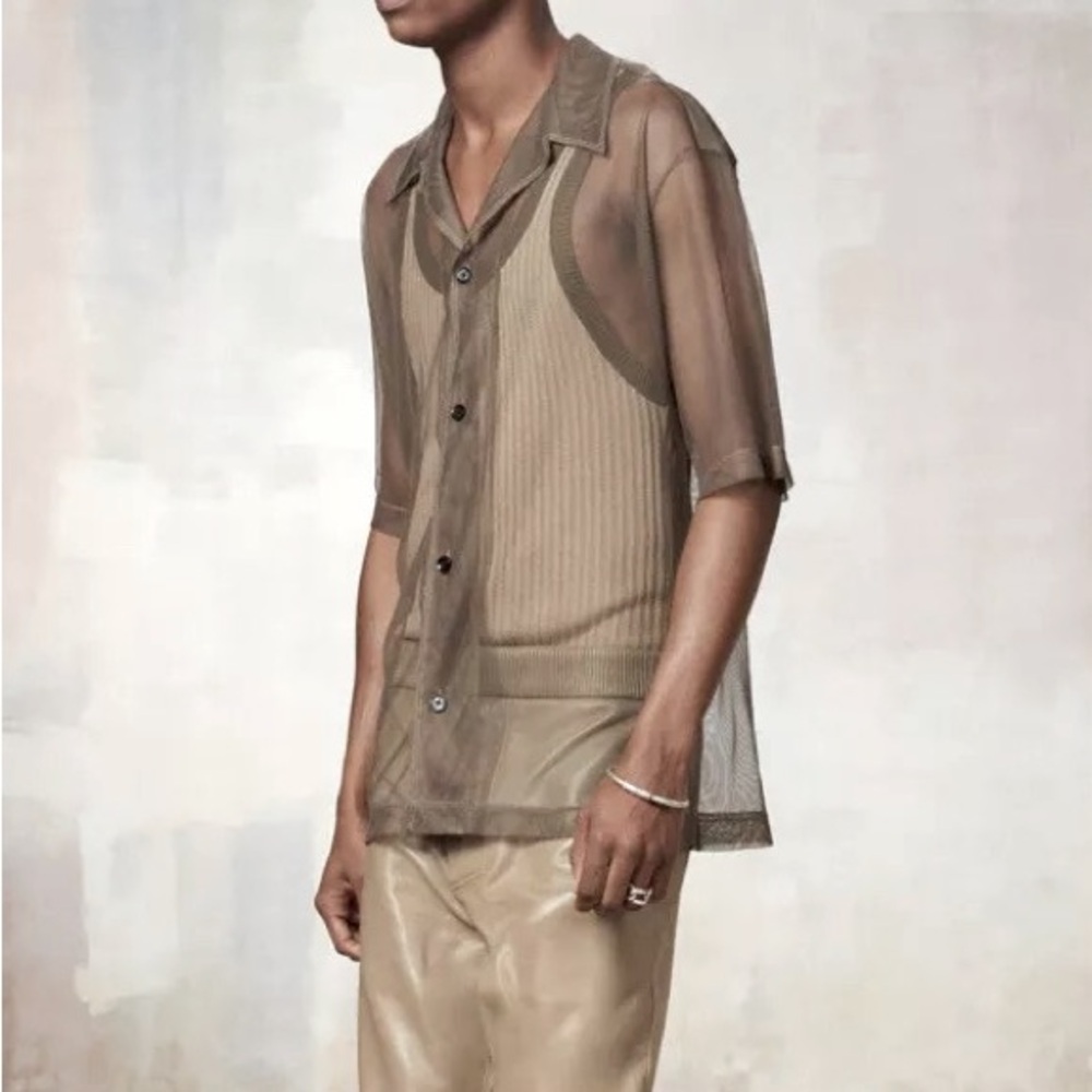 Zara Srpls Sheer Collared Button Up Shirt